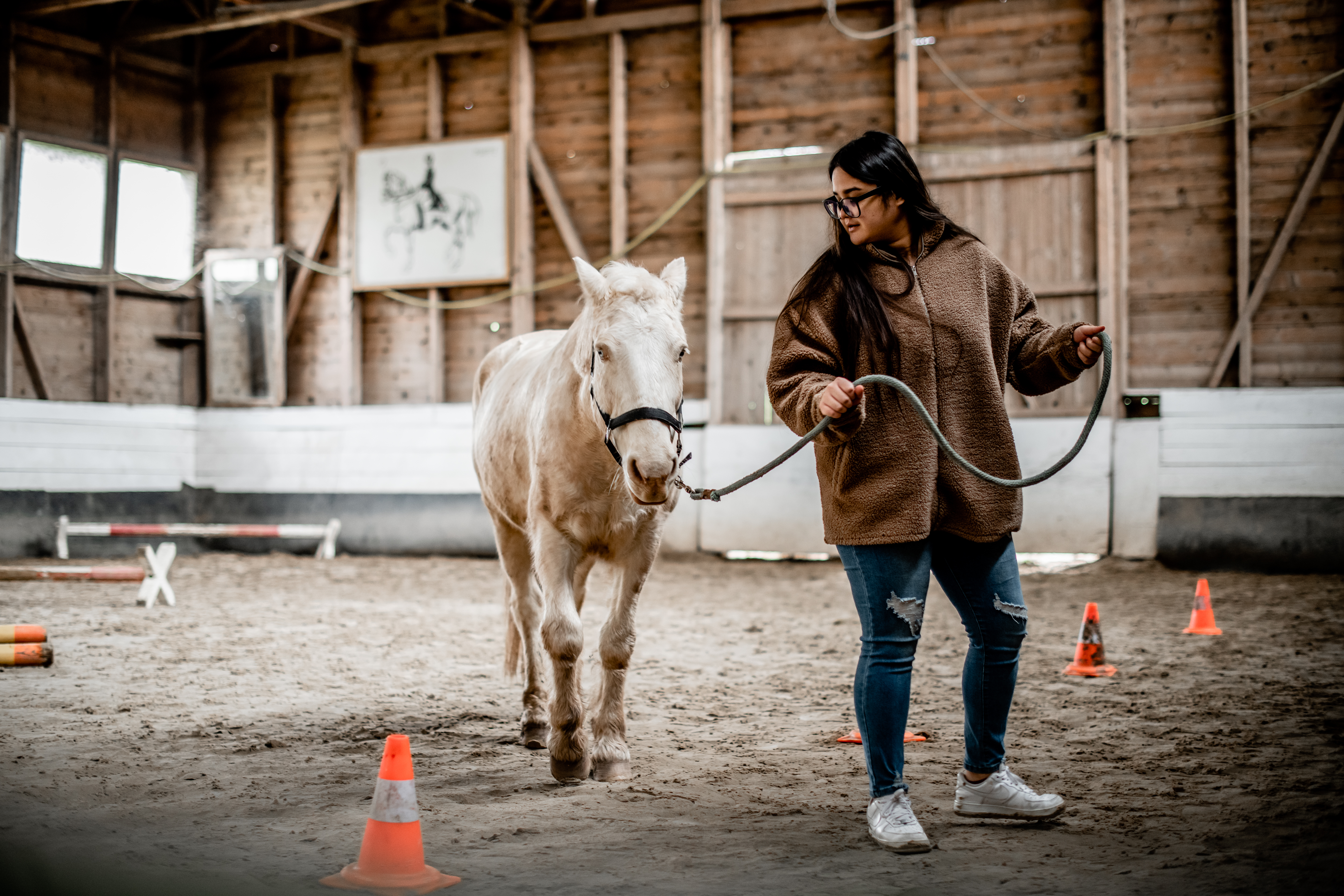How a horse can teach you leadership 