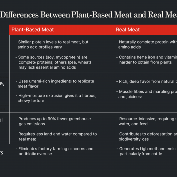 Plant-Based Meat: What It Is & How It's Made