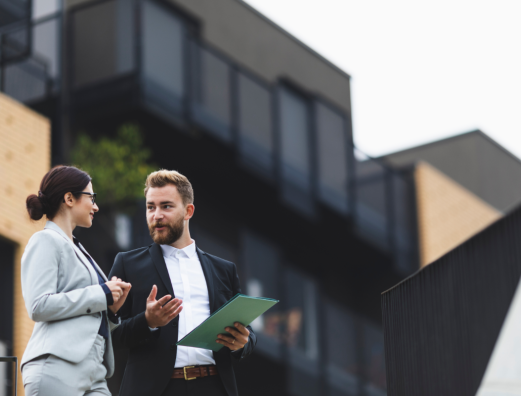 Real Estate Consultant